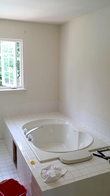 Master Bathroom Tub Before Remodel