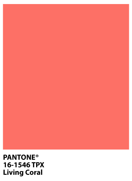 Main Image for Rasinski Construction Home Remodeling Trends 2019 Page